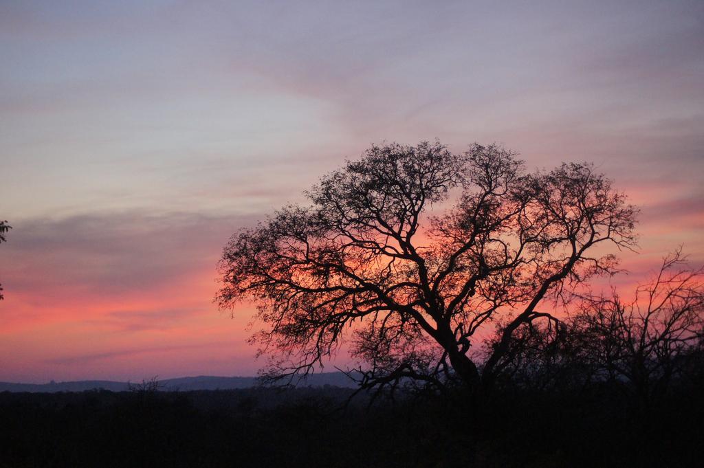 The Fever Tree Guest House Hluhluwe Bagian luar foto